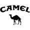 Camel Filters, verschiedene Größen